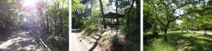 dainoharaforestpark